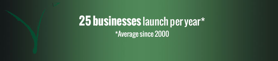 E-Seed Launching Growing Entrepreneurs for Over 15 Years