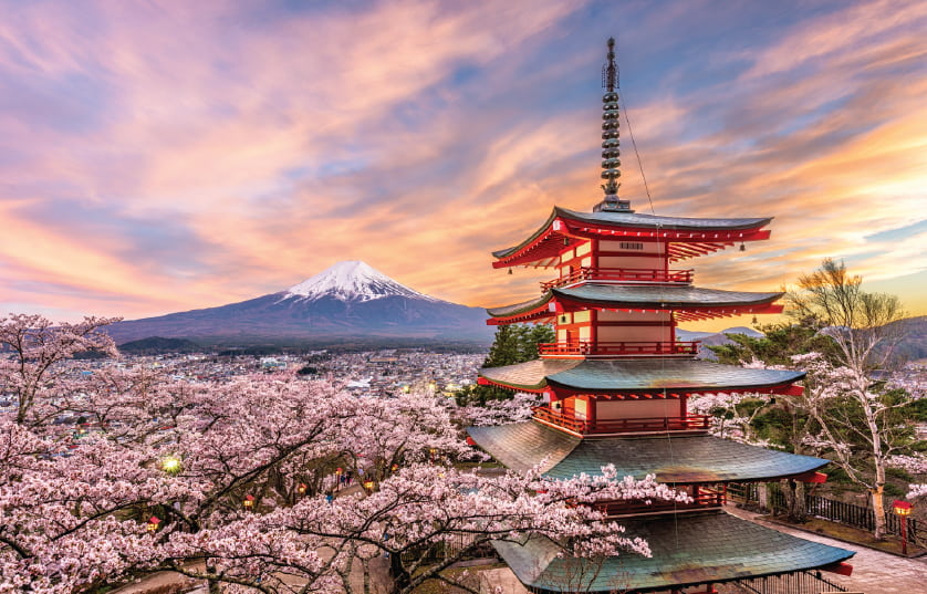 Toji Pagoda in Kyoto, Japan during the fall season.