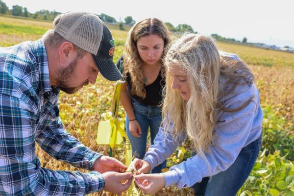 instructor and students studying grain in a field