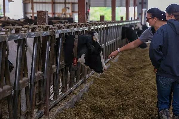 Dairy Science