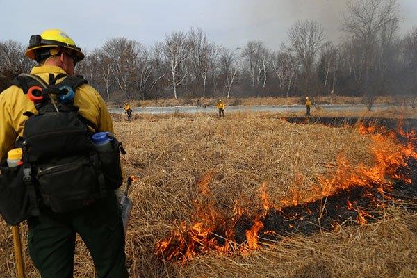 firefighters putting out fire in ditch with dry grass