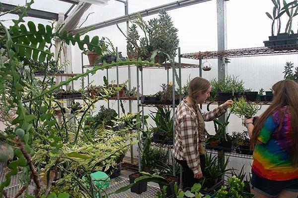 people looking at plants inside greenhouse