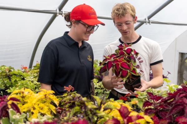 people talking in greenhouse and looking at plants.