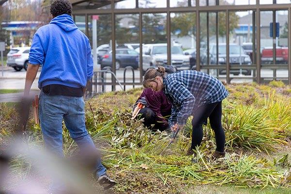 people with garden tools working on landscaping