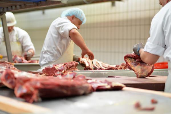 people working in a meat processing plant