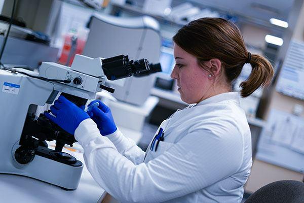 medical lab assistant certification online medical lab assistant certification online