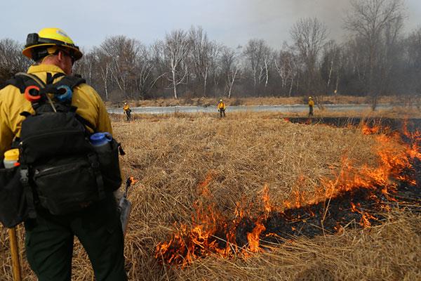 students experiencing a controlled wildland fire