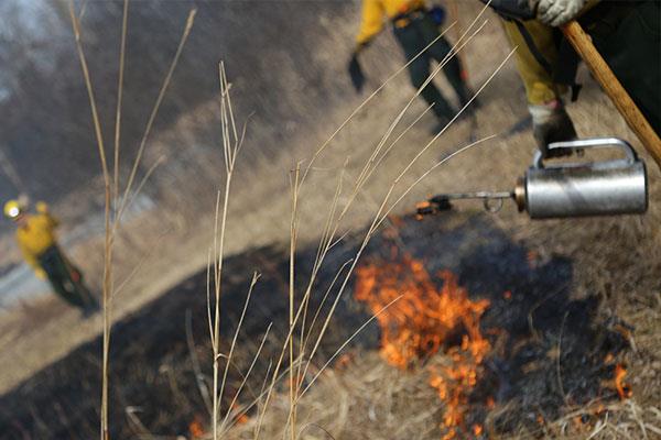 students experiencing a controlled wildland fire