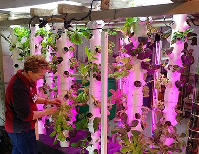 high-tech indoor horticulture lab