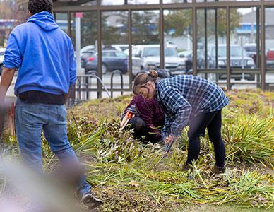 landscaping student working on an outdoor project