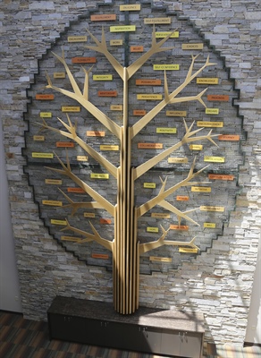 Tree of Success Grows into Display