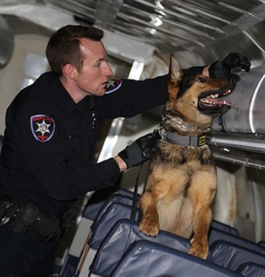 Officers, Dogs Train at Public Safety Training Center