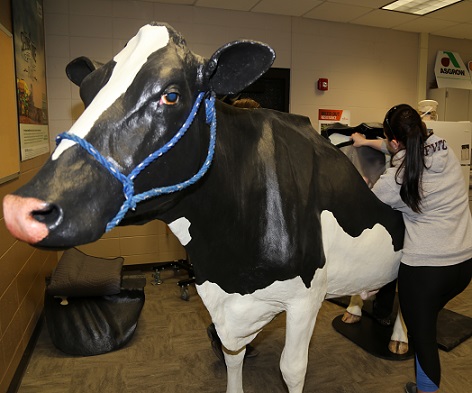 Technology Brings Farm into Classroom