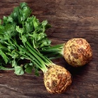Celery Root: Underrated, Distinctive & Delicious