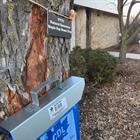 Tapping Maple Trees on Campus