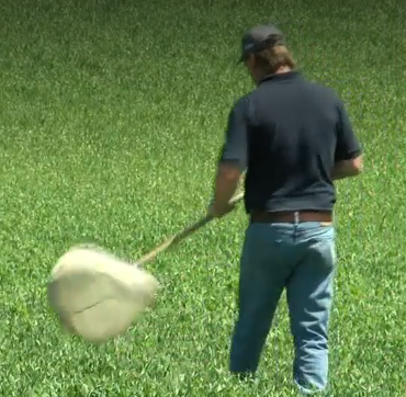 Pest Control: Life on the Farm