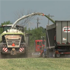 Harvesting Hay: Life on the Farm