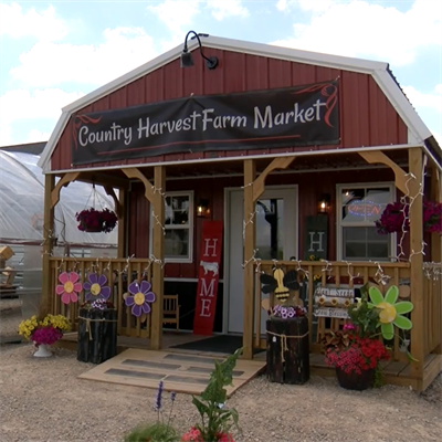 Country Harvest Farm Market: Life on the Farm