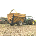 Corn Silage Harvest: Life on the Farm