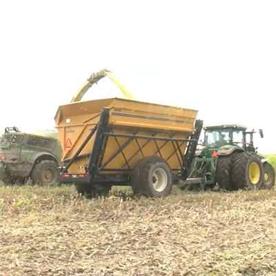 Corn Silage Harvest: Life on the Farm