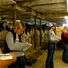 Dairy Judging: Life on the Farm
