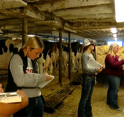 Dairy Judging: Life on the Farm
