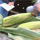 Crop Insurance: Life on the Farm