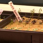 Hydroponic Lab: Life on the Farm
