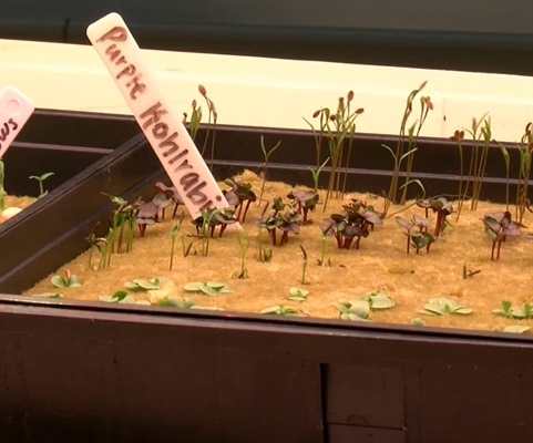 Hydroponic Lab: Life on the Farm