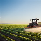 War in Ukraine is Teaching Moment for Agriculture Students