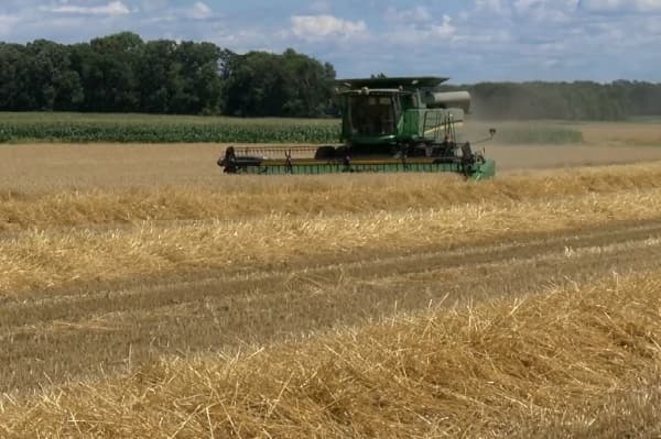 Wheat harvest update: Life on the Farm