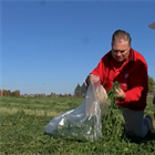 5th crop hay: Life on the Farm