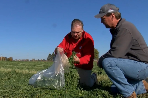 5th crop hay: Life on the Farm