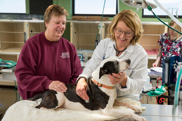 Veterinary Technician Internship Fair - Appleton