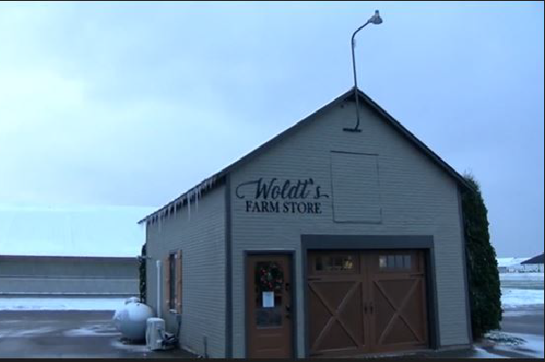 Woldt’s Farm Store: Life on the Farm