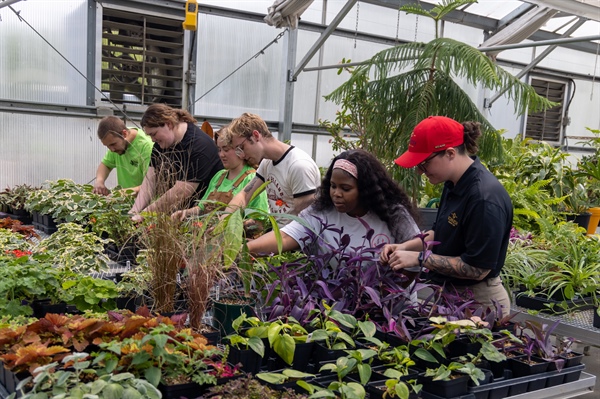 New Degrees Highlight Landscaping Careers