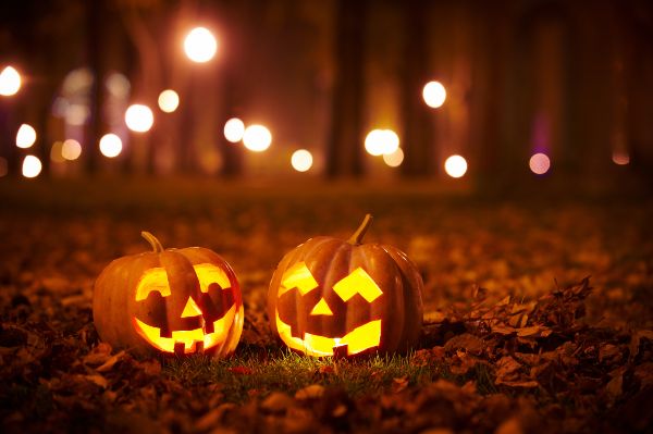 Great America Fright Fest - Student Life Event