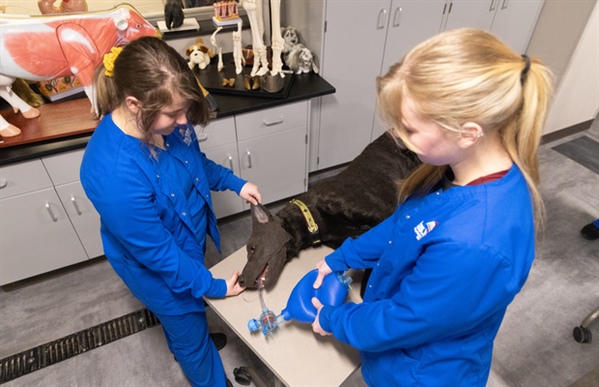 Veterinary Technician Information Session - Online