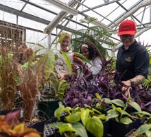 FVTC Fall Plant Sale - Appleton 10/6/2026 10:00 AM - 6:00 PM