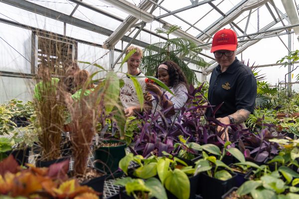FVTC Fall Plant Sale - Appleton