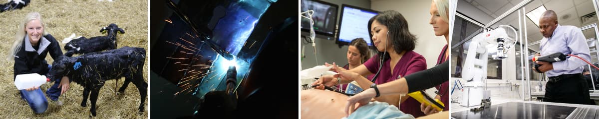 Focus-Careers-Banner-Small-Image-1200x240 Focus-Careers-Banner-Small-Image-1200x240